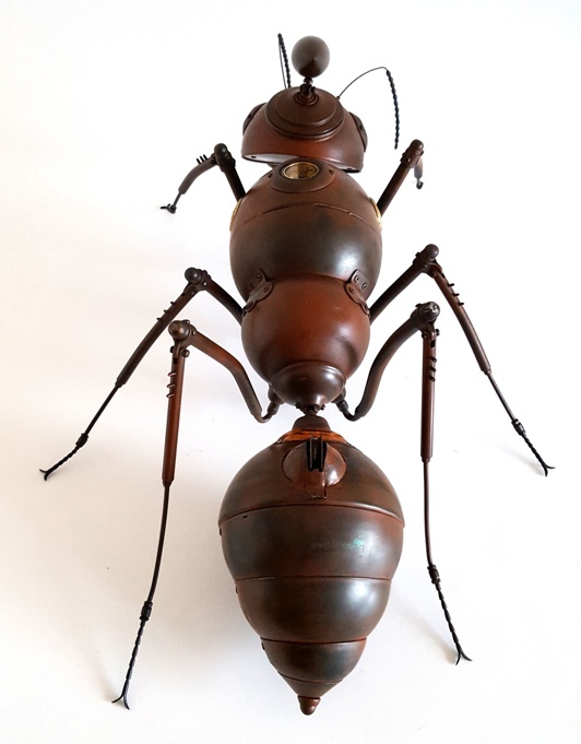 skruzdė iš rakandu